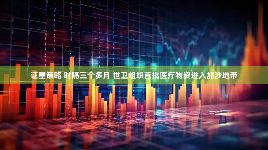 证星策略 时隔三个多月 世卫组织首批医疗物资进入加沙地带