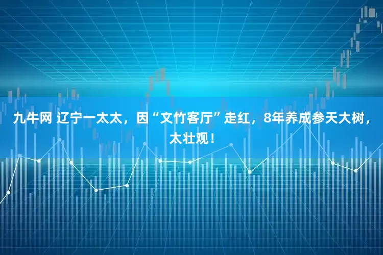 九牛网 辽宁一太太，因“文竹客厅”走红，8年养成参天大树，太壮观！