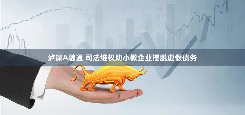 泸深A融通 司法维权助小微企业摆脱虚假债务