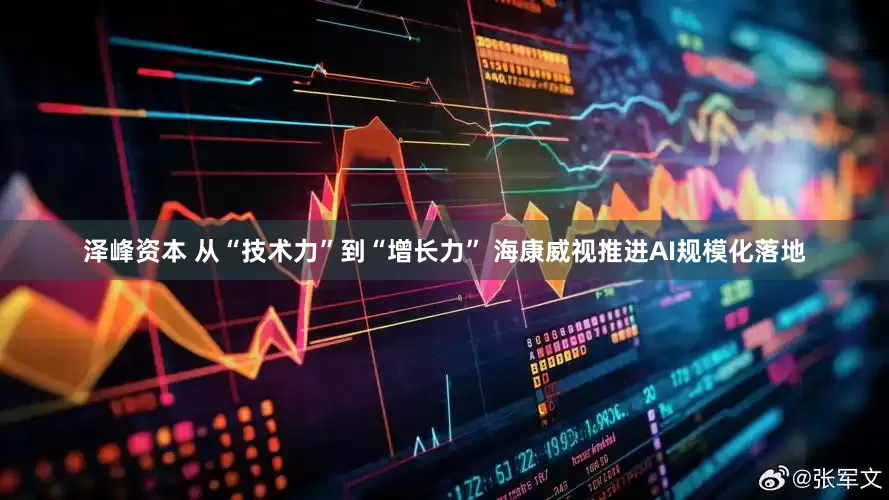 泽峰资本 从“技术力”到“增长力” 海康威视推进AI规模化落地